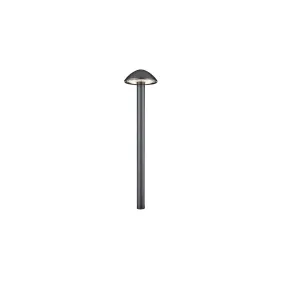 6521 LED Landscape Interpath Light