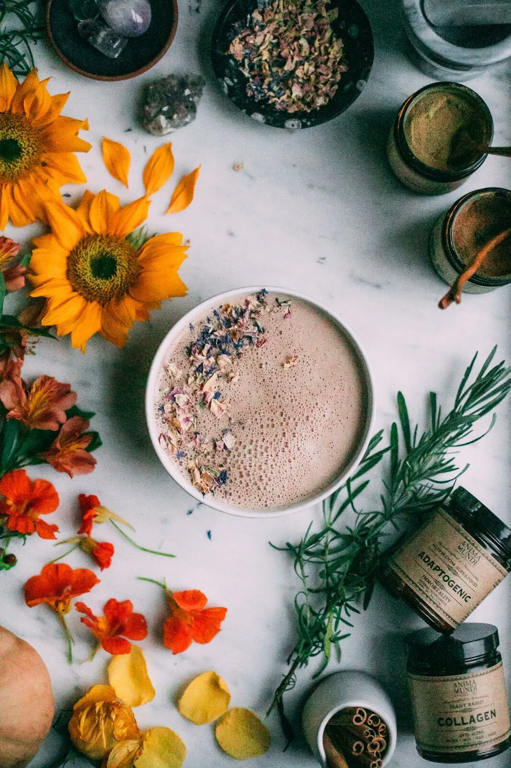 ADAPTOGENIC Powder | 7 Medicinal Mushrooms   Cacao