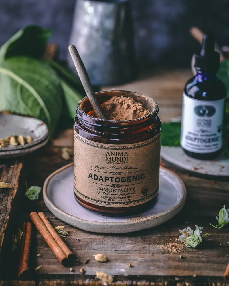 ADAPTOGENIC Powder | 7 Medicinal Mushrooms   Cacao
