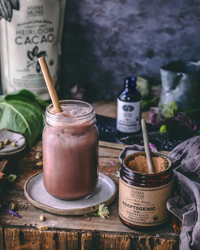 ADAPTOGENIC Powder | 7 Medicinal Mushrooms   Cacao