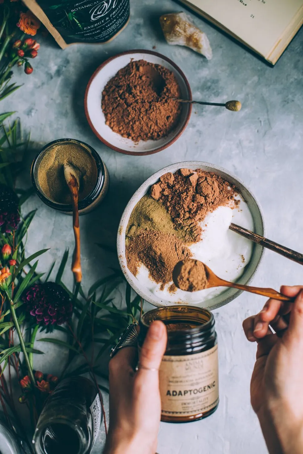 ADAPTOGENIC Powder | 7 Medicinal Mushrooms   Cacao