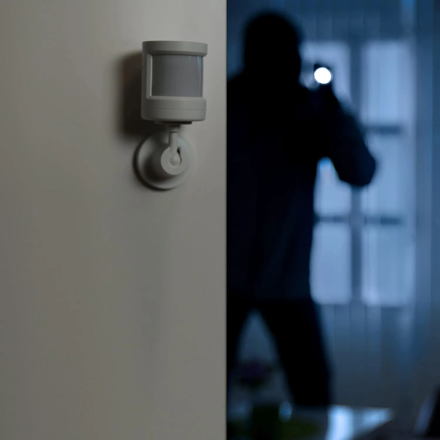 Alecto Motion Sensor