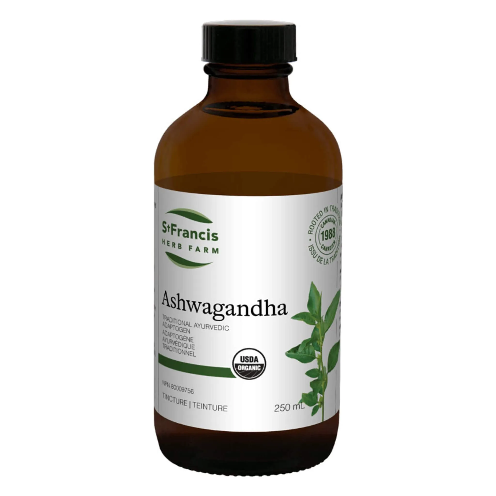 Ashwagandha - Withania somnifera