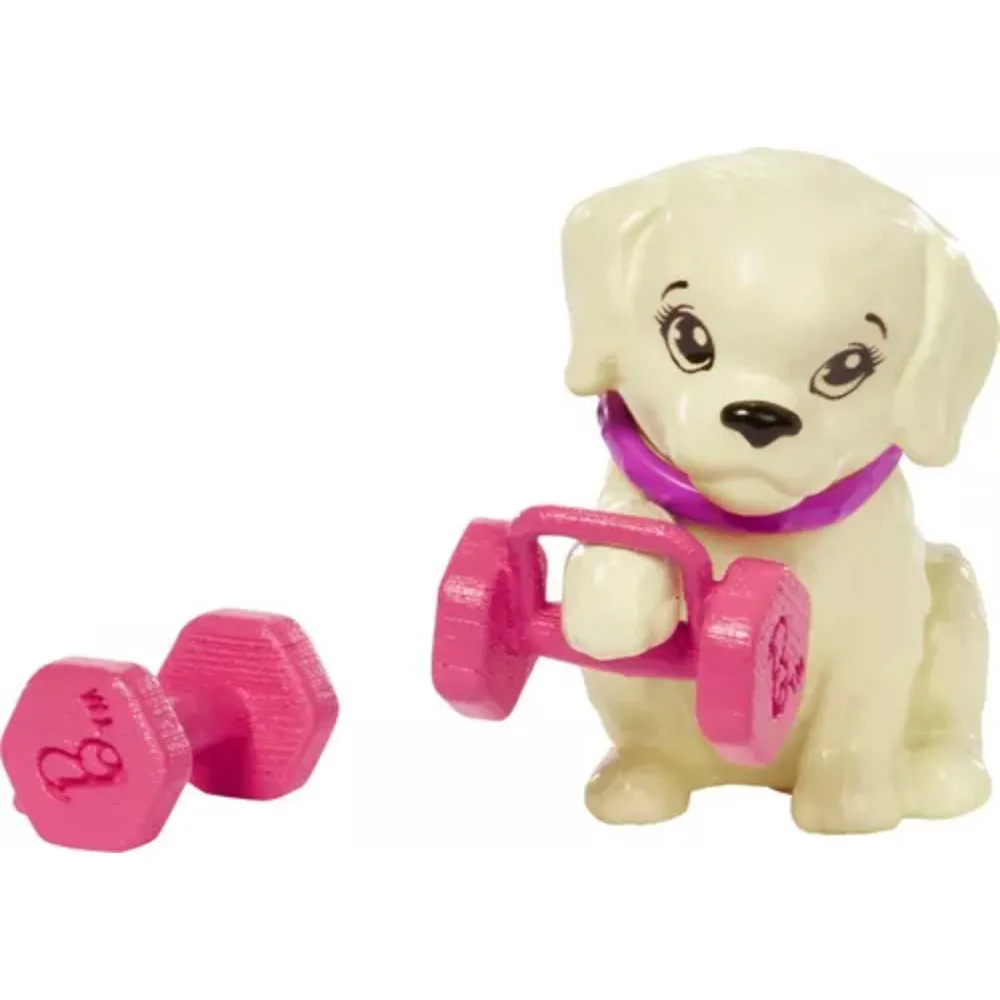 Barbie Wellness Muñecas Deportista