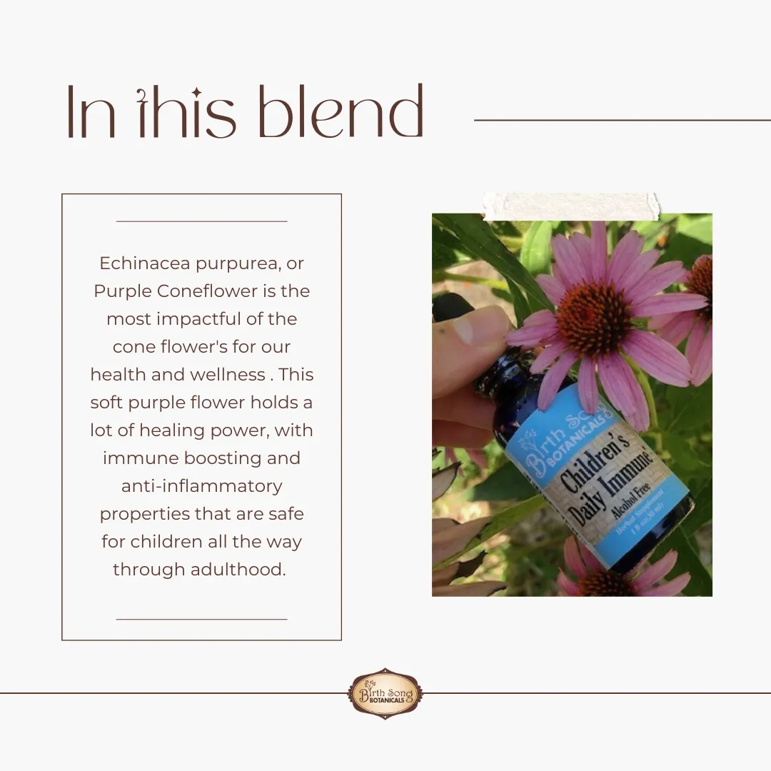 Children's Daily Immune* Organic Herbal Tincture with Astragalus Root 1 oz.