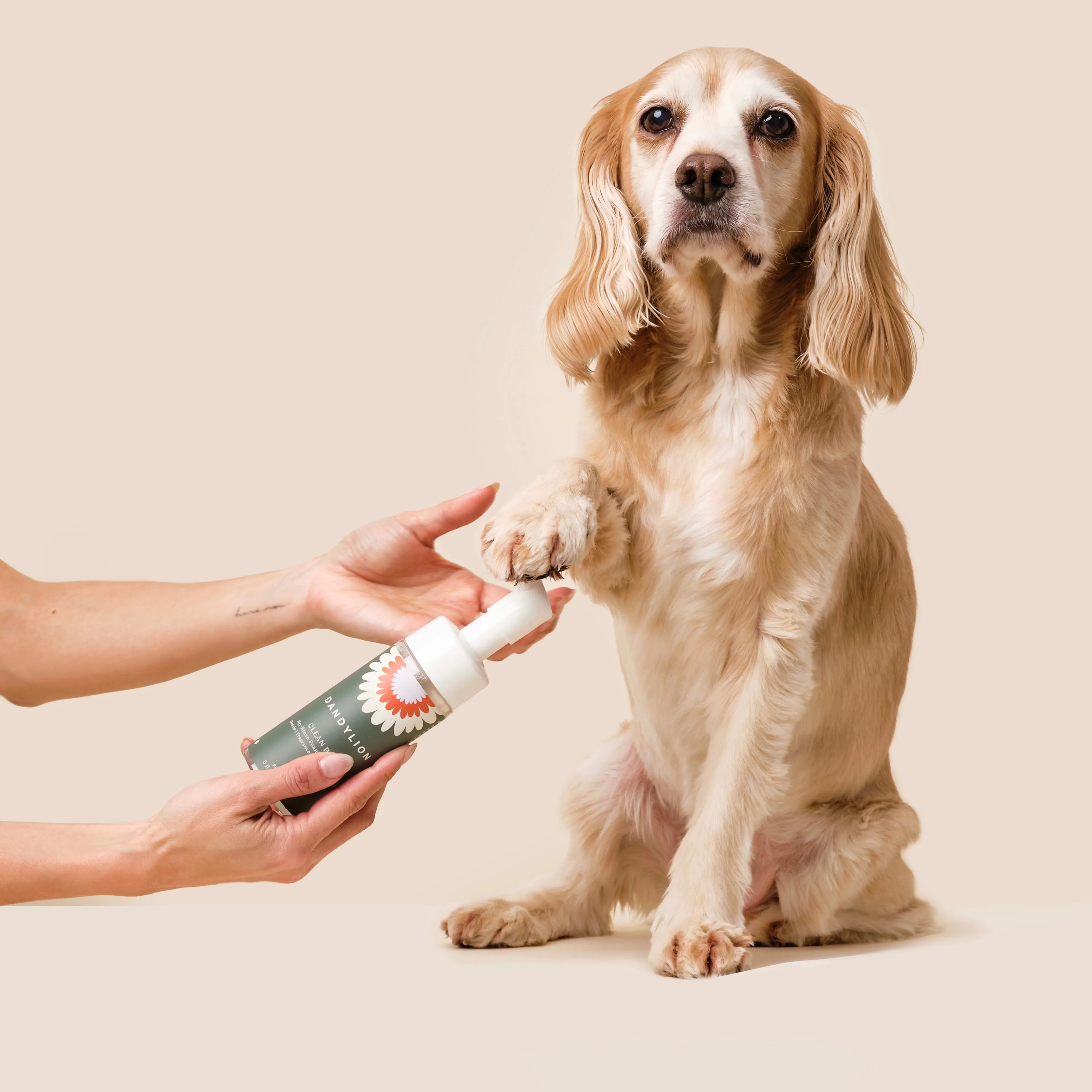 clean paws no-rinse foaming cleanser (5 fl. oz)