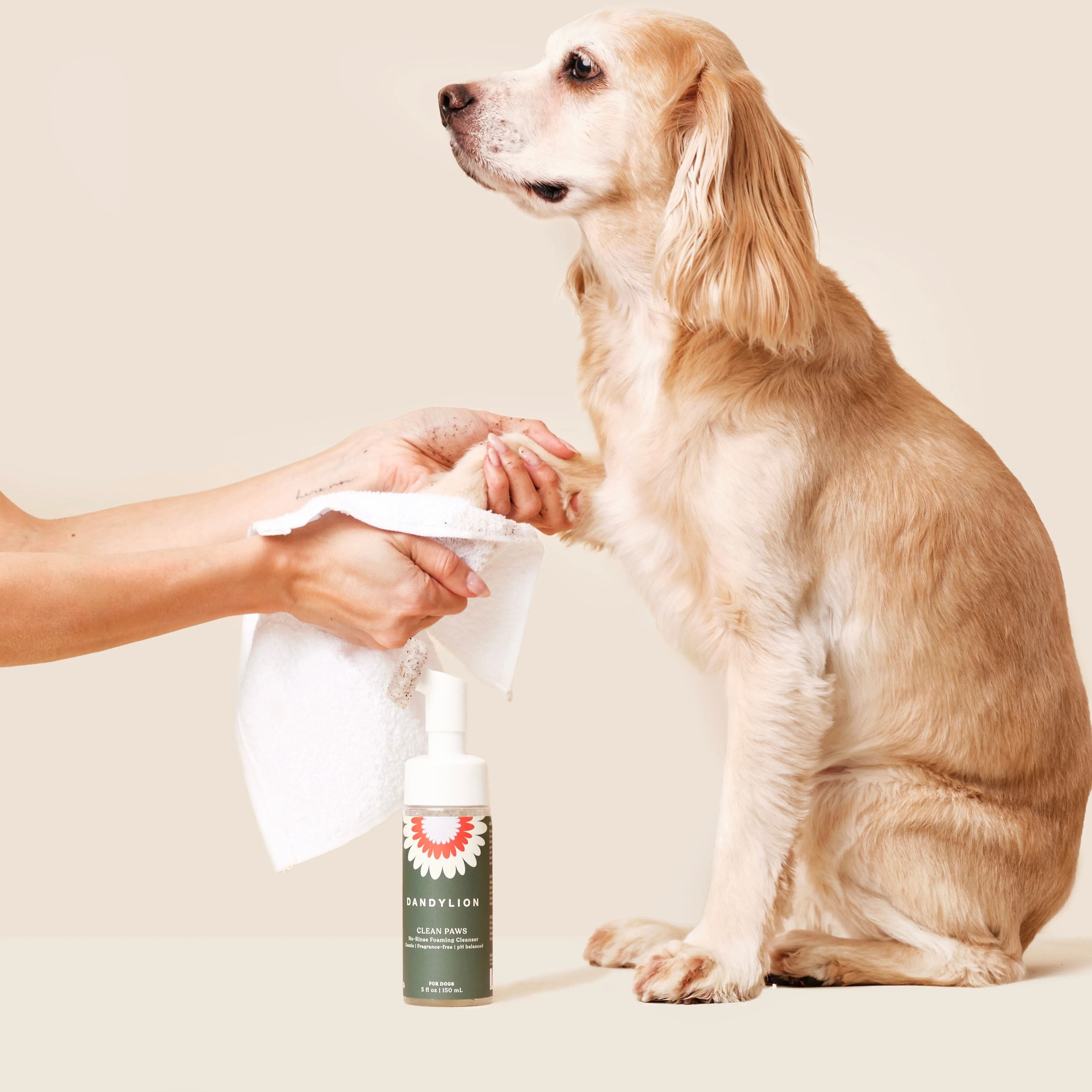 clean paws no-rinse foaming cleanser (5 fl. oz)