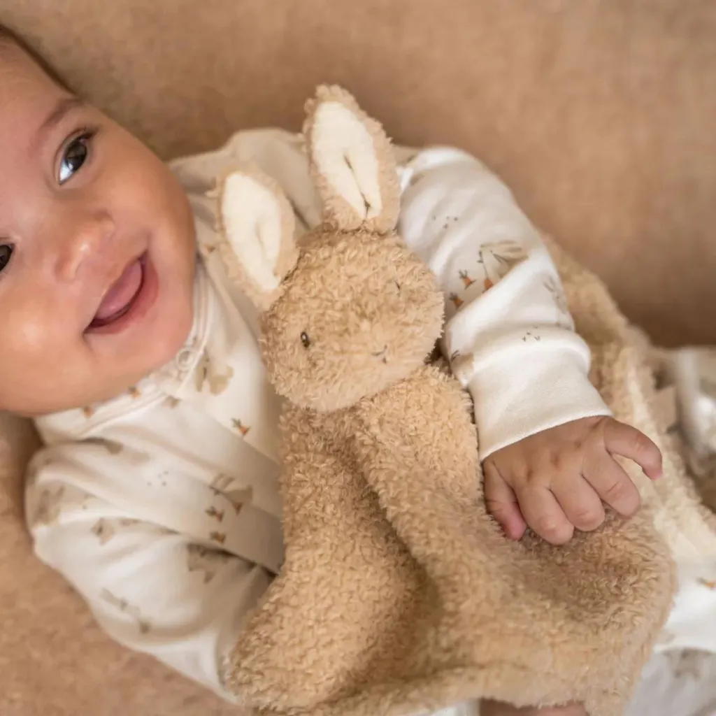 Cuddle cloth bunny
