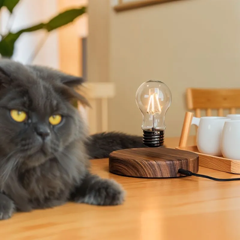 Float Table Lamp