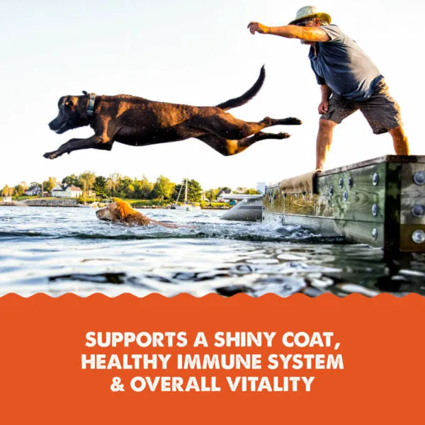 Grizzly Pet Products Salmon Plus Supplement