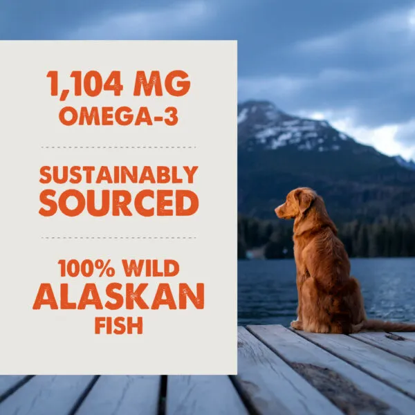 Grizzly Pet Products Salmon Plus Supplement