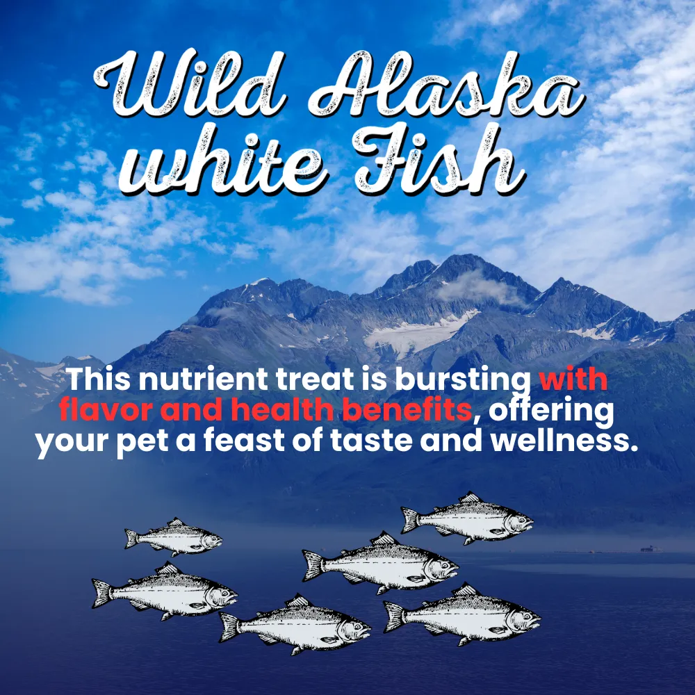 Kanu Pet Freeze Dried Wild Alaska White Fish Dog Treat