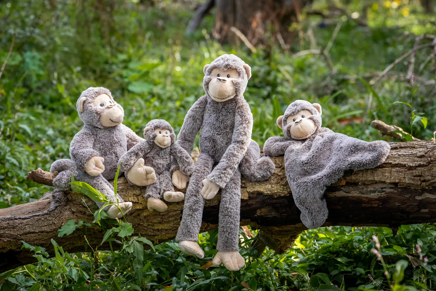 Mani the Monkey Hoochy Coochie