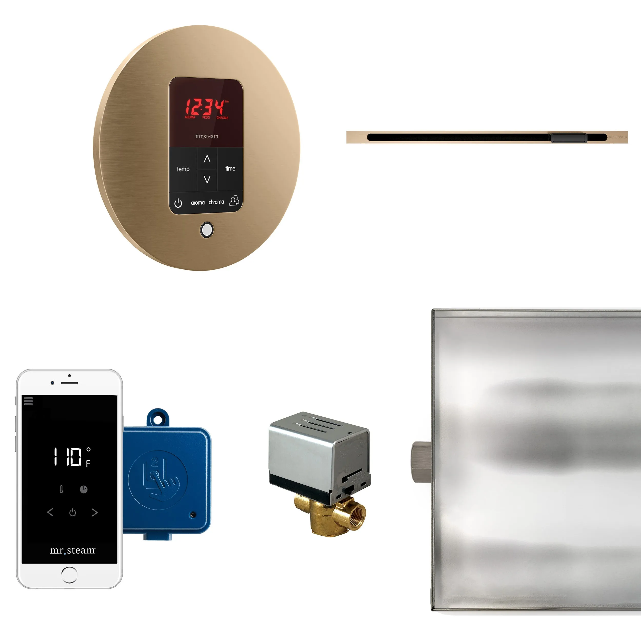Mr. Steam Butler Steam Shower Control Package with iTempoPlus