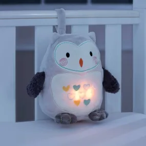 Ollie the Owl - Sound and Light Gro Friend