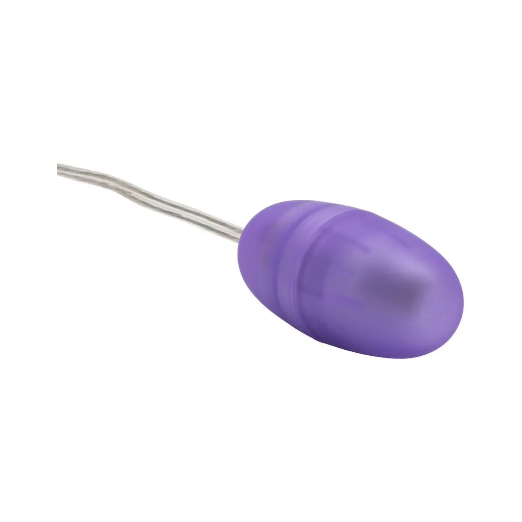Passion Bullets Bullet & Multi Probe Bullet