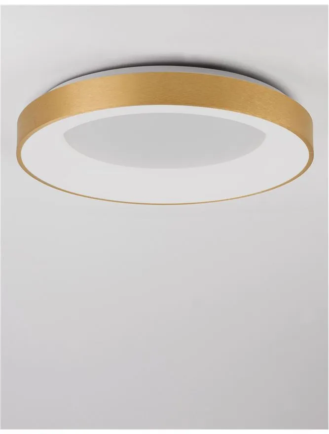 RAN Brushed Gold Aluminium & Acrylic Dimmable Warm Light Ring Flush Large - ID 10620