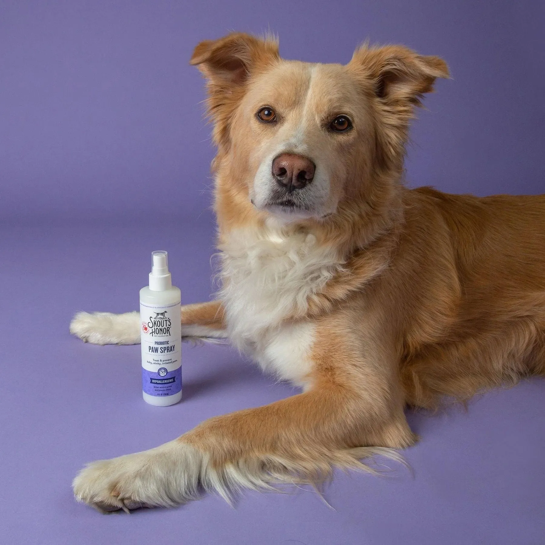 Skout's Honor Probiotic Paw Spray, 8 oz