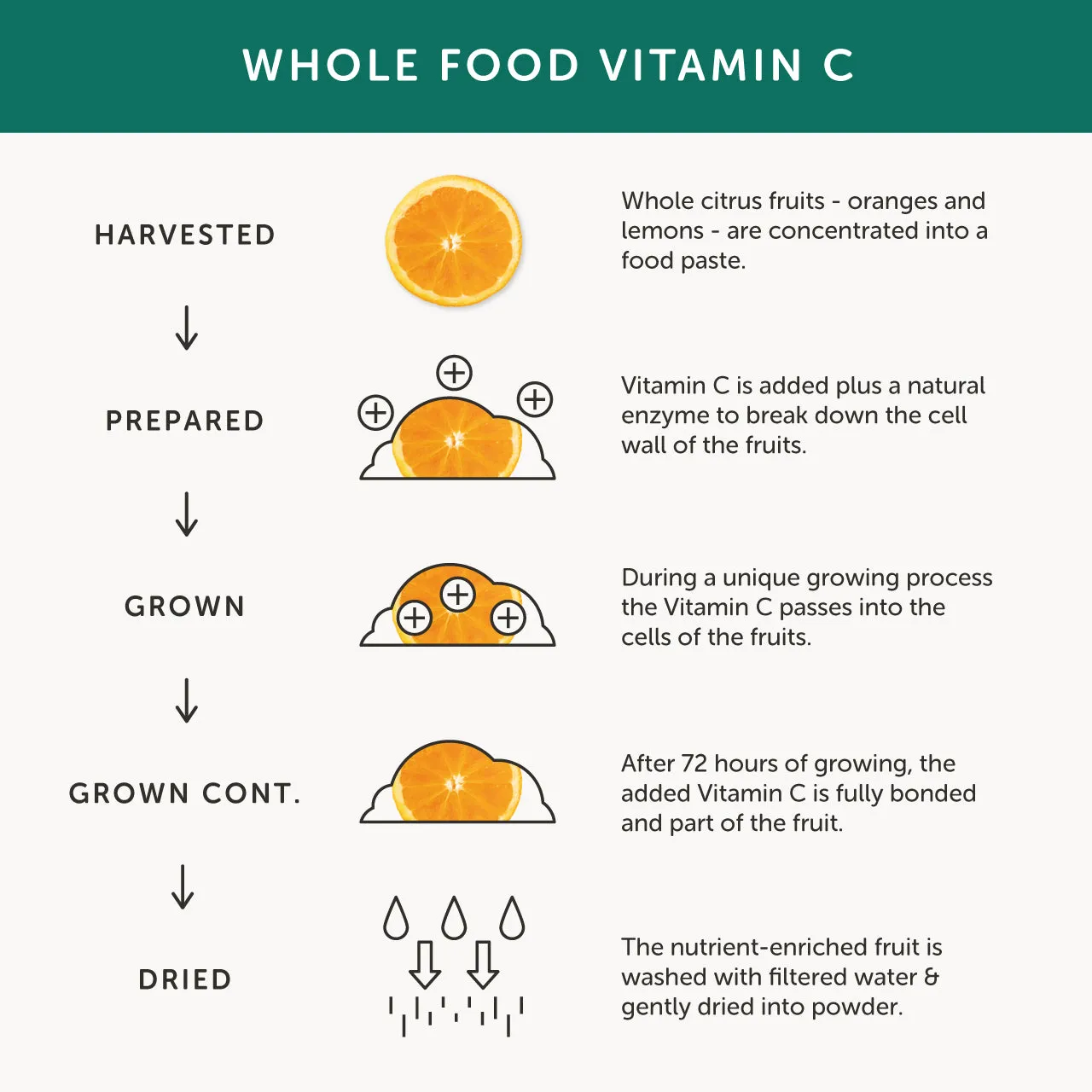 Together Natural Food Source Vitamin C With Bioflavonoids 30 tabs