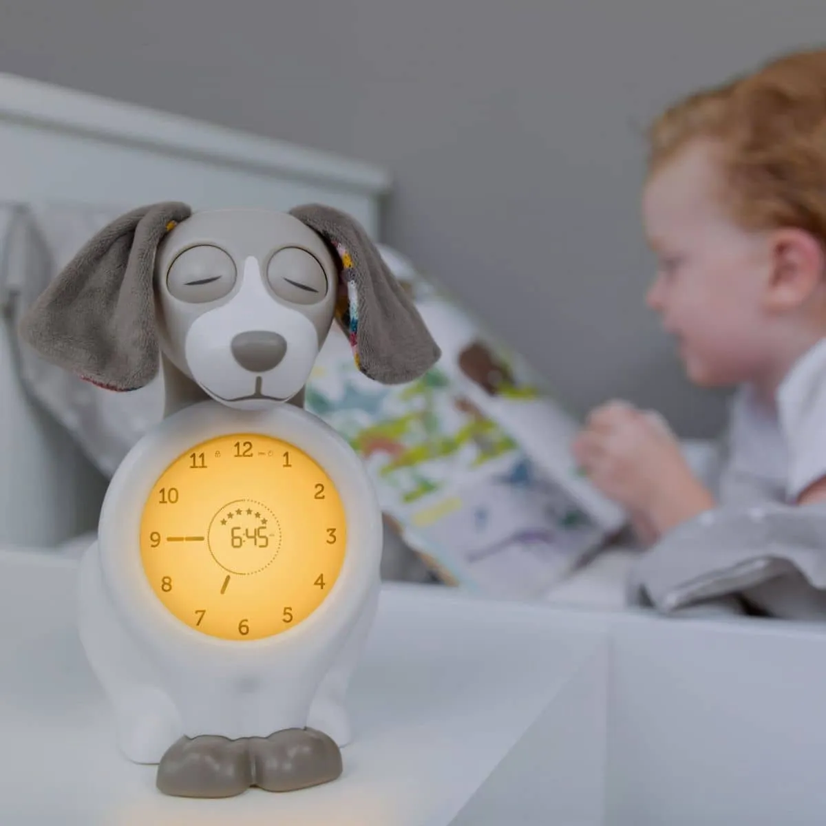 Zazu Sleeptrainer - Davy the Dog